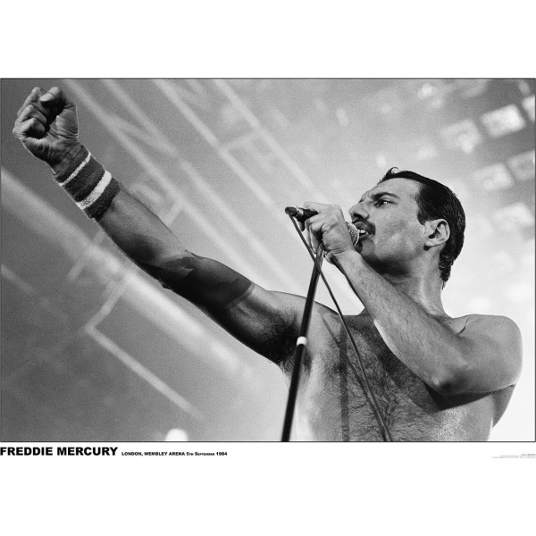 Queen Freddie Mercury - Wembley Arena