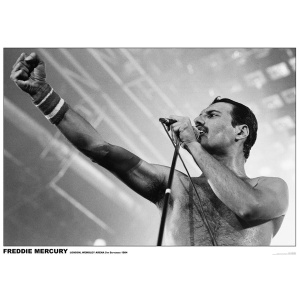 Queen Freddie Mercury - Wembley Arena